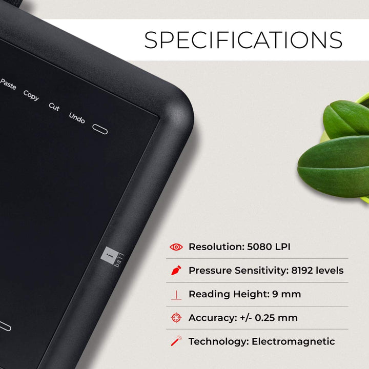 iBall Pen Digitizer, 8-inch x 6-inch, Graphic Tablet