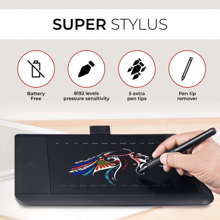iBall Pen Digitizer, 8-inch x 6-inch, Graphic Tablet