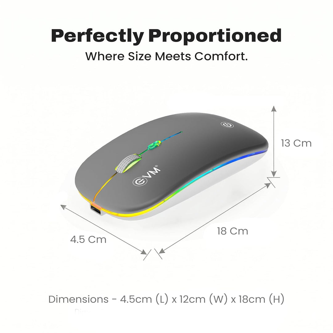 EVM EnGrip Rechargeable Wireless Mouse EWLM-360