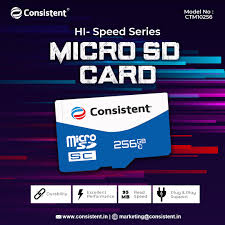 Zebion/ Consistent Micro SD Card